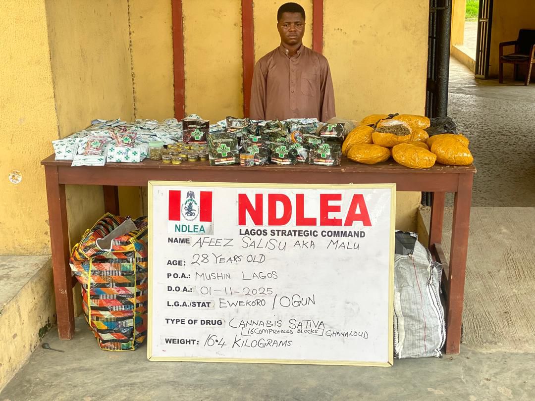 NDLEA alerts on fake medicinal cannabis contain illicit substances dangerous to health, recovers large consignment, arrests kingpin